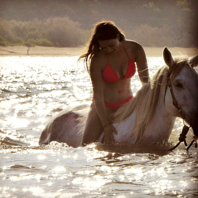 Ranch Magnetic Island Ranch Magnetic Island
