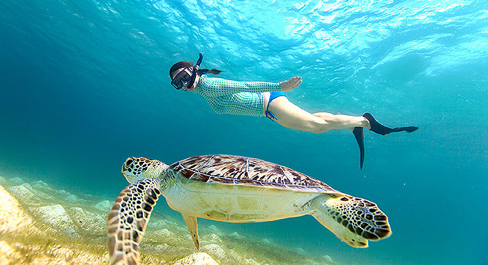 Backpackers Magnetic Island Australia Backpackers Magnetic Island Australia