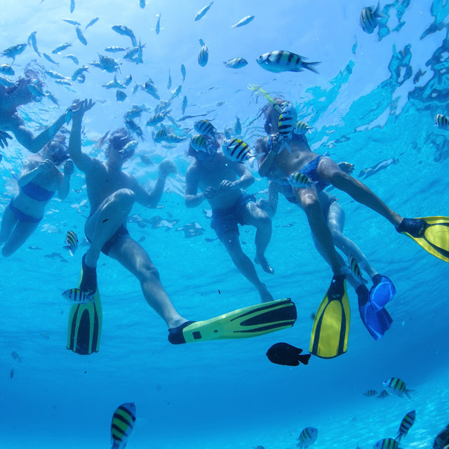 Activities Bungalow Bay Koala Village