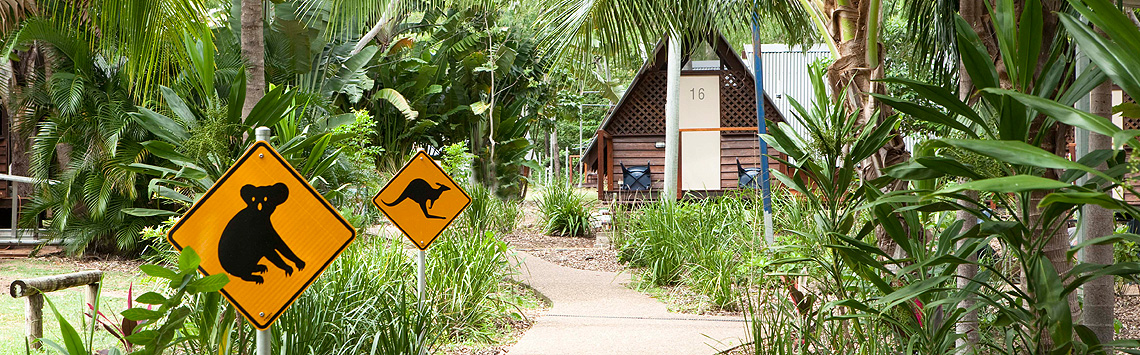 Magnetic-Island-Accommodation