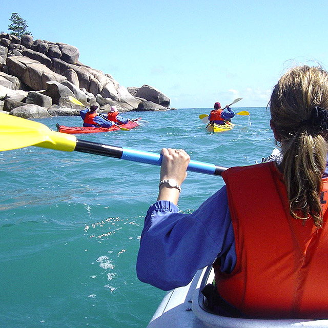 Activities Bungalow Bay Koala Village