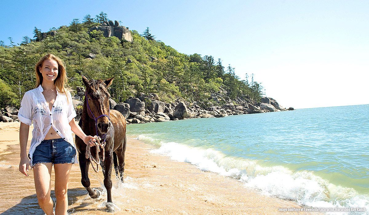 Magnetic-Island-Hostel-Koala-Park-07-compressor