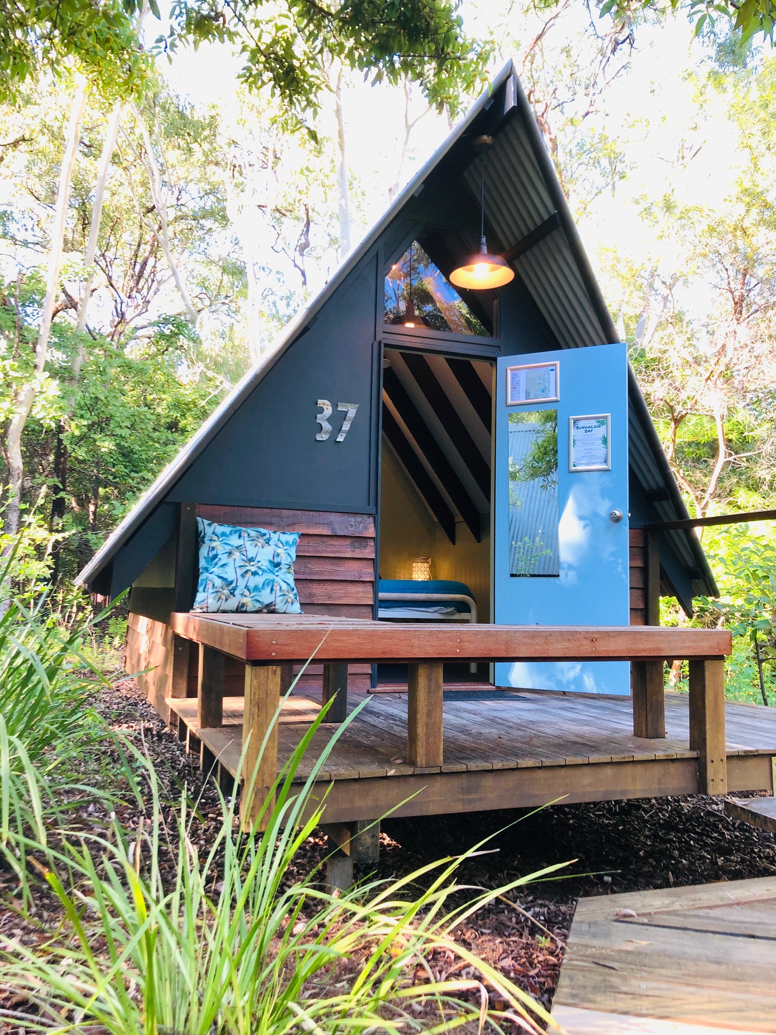 Magnetic Island Accommodation and Wildlife Park - Bungalow Bay Koala